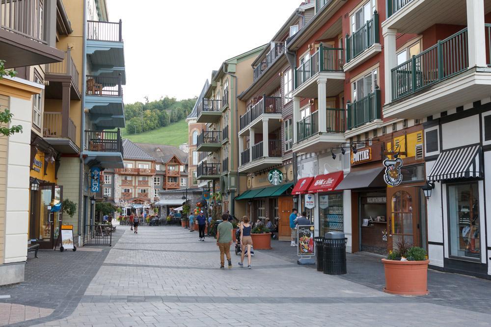 Condo Loft At Blue Mountain Blue Mountains Ngoại thất bức ảnh